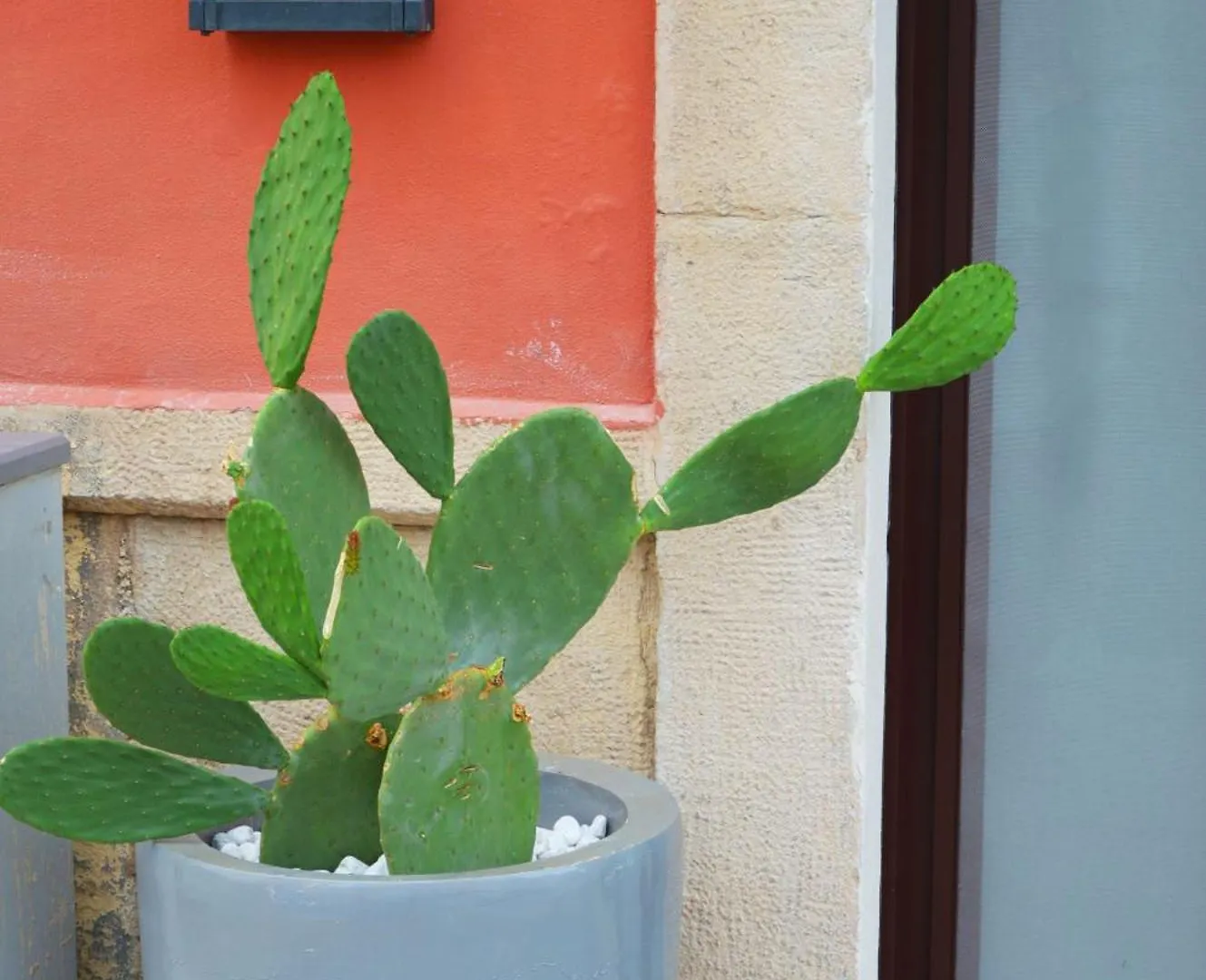 Appartement Domus Athena à Bari Italie